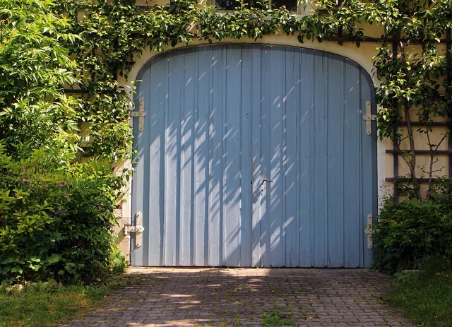 garage, garage door, door, gate, hinged door, wood, nature, ingrown, plants, entwined, ivy, green. Garage door service software worth a trial: five options and how to score them