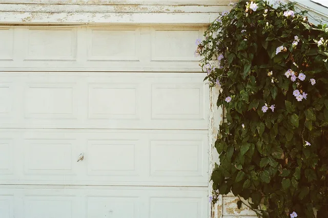 garage door, nature, white, plant. Garage door service equipment checklist for new owners
